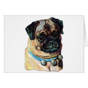 Pug Dog Vintage