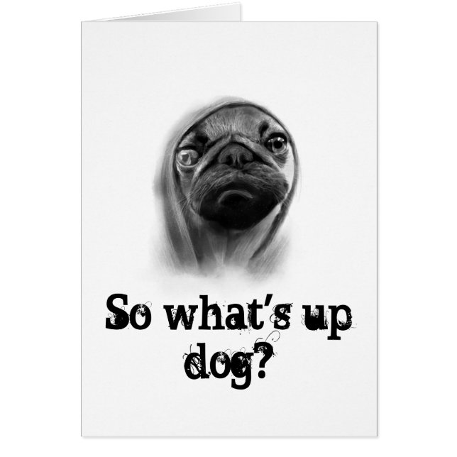 Pug dog with hoodie (Front)