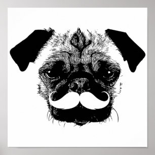 Pug Dog with Moustache Black & White Poster