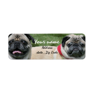 Pug dogs address labels