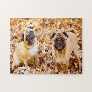 Pug Dogs. Jigsaw Puzzle