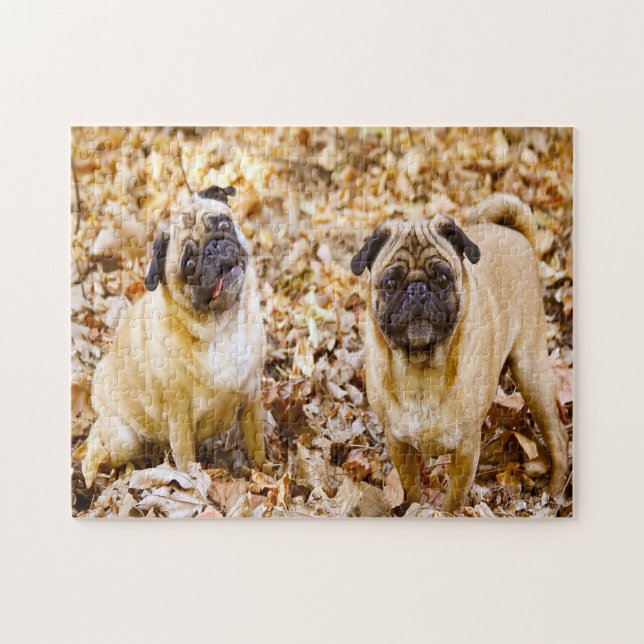 Pug Dogs. Jigsaw Puzzle (Horizontal)