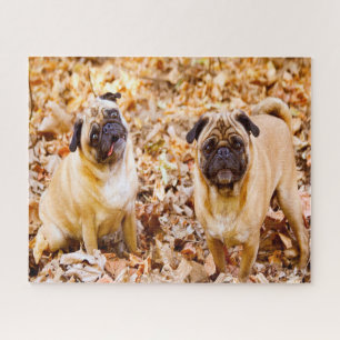 Pug Dogs. Jigsaw Puzzle