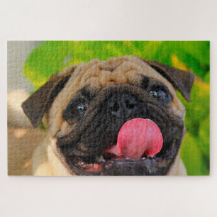 Pug Dogs. Jigsaw Puzzle