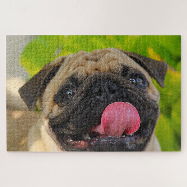 Pug Dogs. Jigsaw Puzzle (Horizontal)