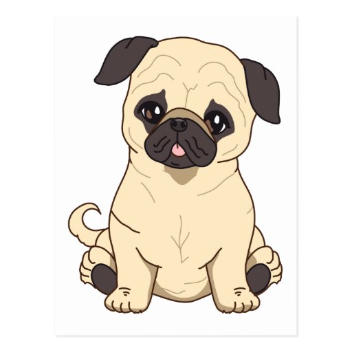 Pug Drawing By Pablo Fernandez Limited Edition Postcard | Zazzle