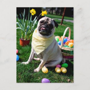 Pug Easter Holiday Postcard