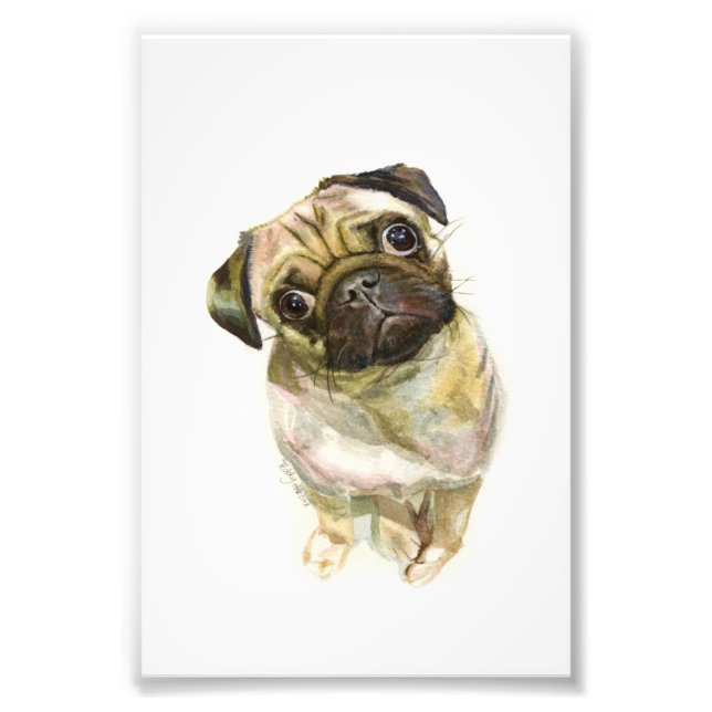 Pug Face Art Print | Cute Pug Dog (Front)