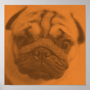 Pug Face Poster
