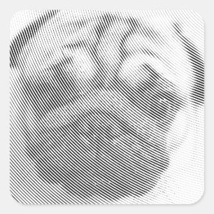 Pug Face Square Sticker