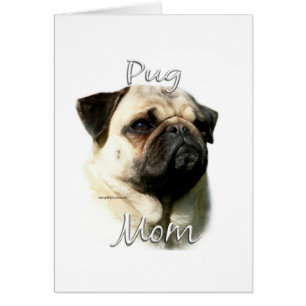 Pug (fawn) Mum 2