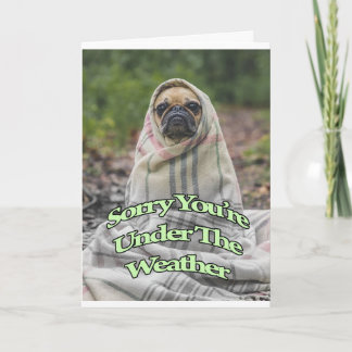 Pug Get Well Card