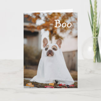 Pug Ghost Dog Halloween Holiday Card