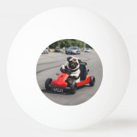 Pug go-kart racing