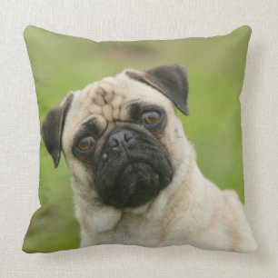 Pug Head Cocked Looking at Camera Cushion