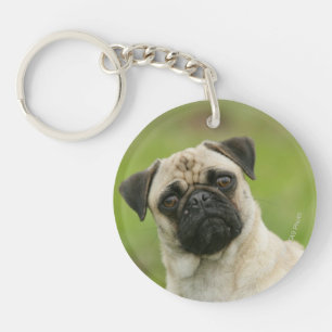 Pug Head Cocked Looking at Camera Key Ring