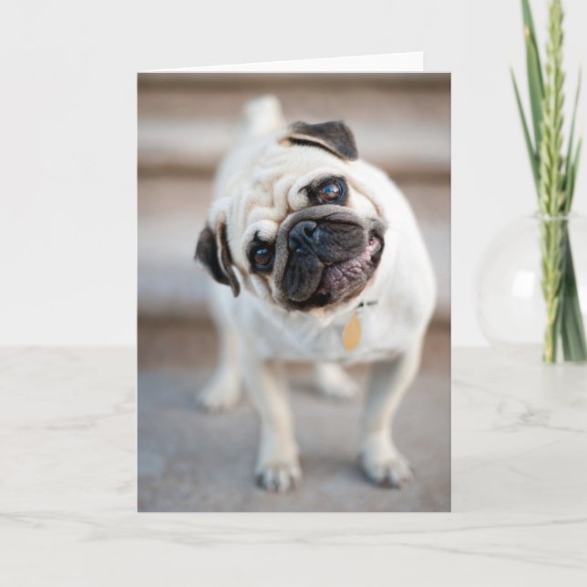 Pug Head Tilt Card (Front)