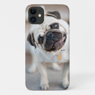 Pug Head Tilt iPhone 11 Case