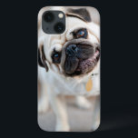 Pug Head Tilt iPhone 13 Case<br><div class="desc">Pug with head tilted.</div>