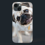 Pug Head Tilt iPhone 13 Case<br><div class="desc">Pug with head tilted.</div>