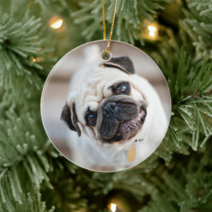 Pug Head Tilt Ceramic Tree Decoration