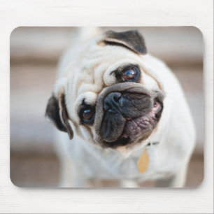 Pug Head Tilt Mouse Mat