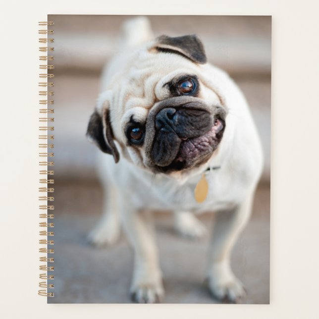 Pug Head Tilt Planner (Front)