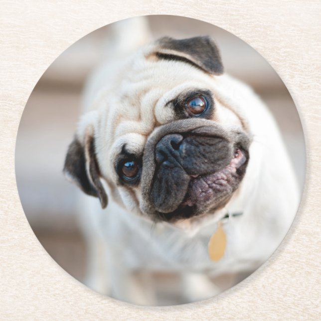 Pug Head Tilt Round Paper Coaster (Front)