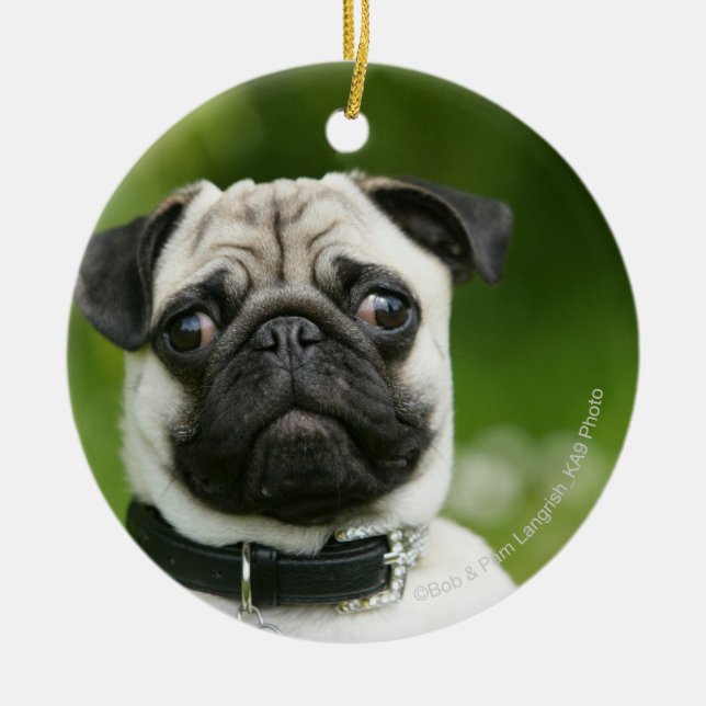 Pug headshot ceramic tree decoration (Front)