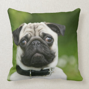 Pug headshot cushion