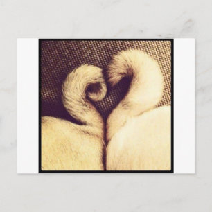 Pug Heart Tails Postcard