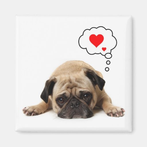 Image of Pug Hearts Magnet