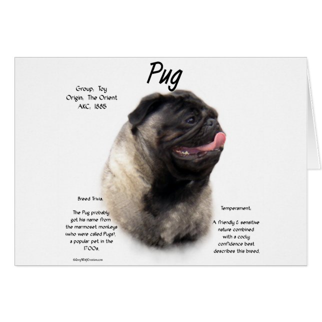 Pug History Design (Front Horizontal)