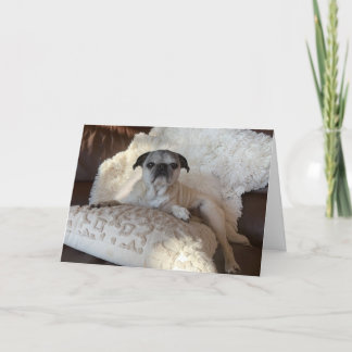 Pug Holiday Card | Lily the Pug