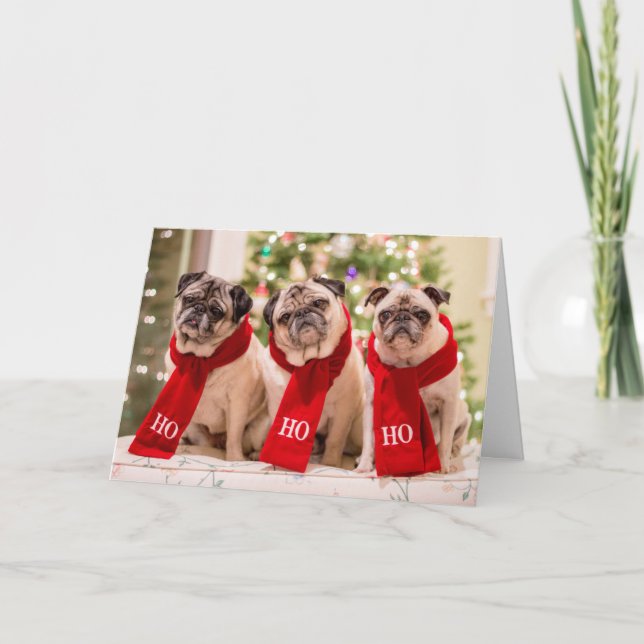 Pug Holiday/Christmas card. Minnie, Max and Matti Holiday Card (Front)