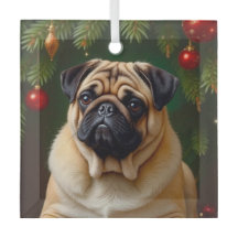 Pug Holiday