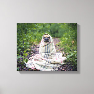 Pug in a Blanket Canvas Print