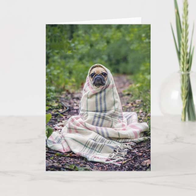 Pug in a Blanket Card (Front)