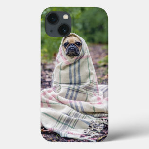 Pug in a Blanket iPhone 13 Case