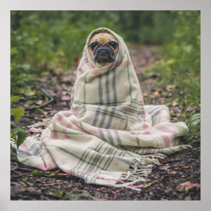 Pug In A Blanket Poster