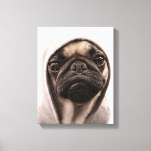 Pug In A Hoodie Canvas Print