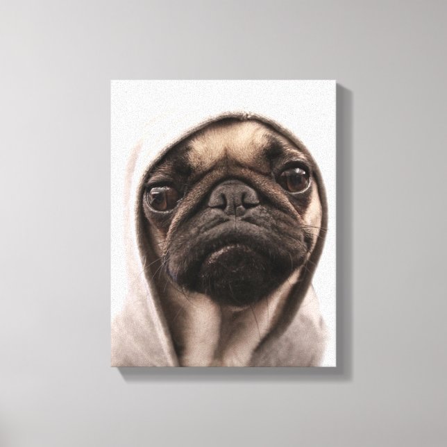 Pug In A Hoodie Canvas Print (Front)
