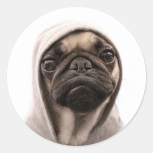 Pug In A Hoodie Classic Round Sticker