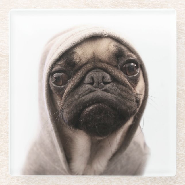 Pug In A Hoodie Glass Coaster (Front)