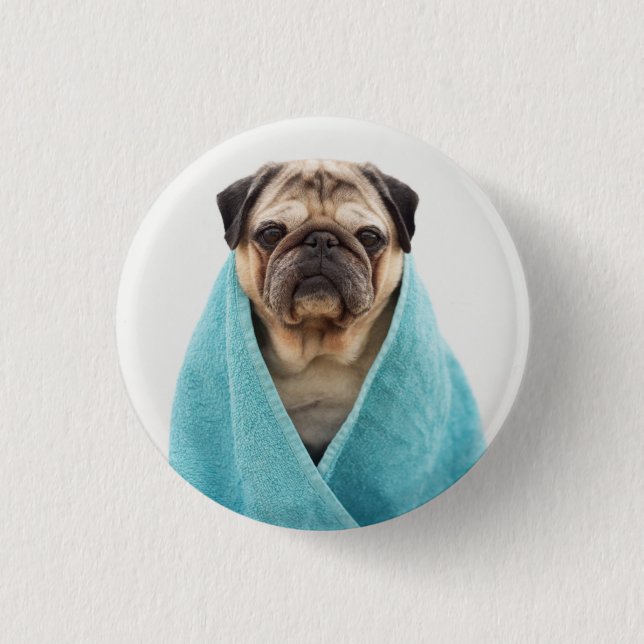 Pug in a Towel 3 Cm Round Badge (Front)