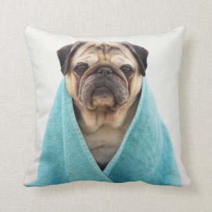 Pug in a Towel Cushion