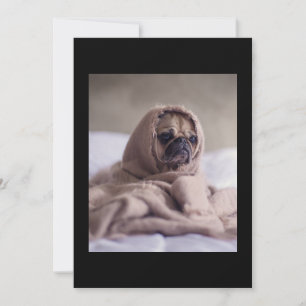 Pug In Blanket Cute Pug Dog Lover Gift Thank You Card