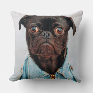 Pug in Denim Jackey Cute Adorable Dog Puppy Cushion