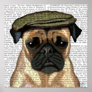 Pug in Flat Cap Poster