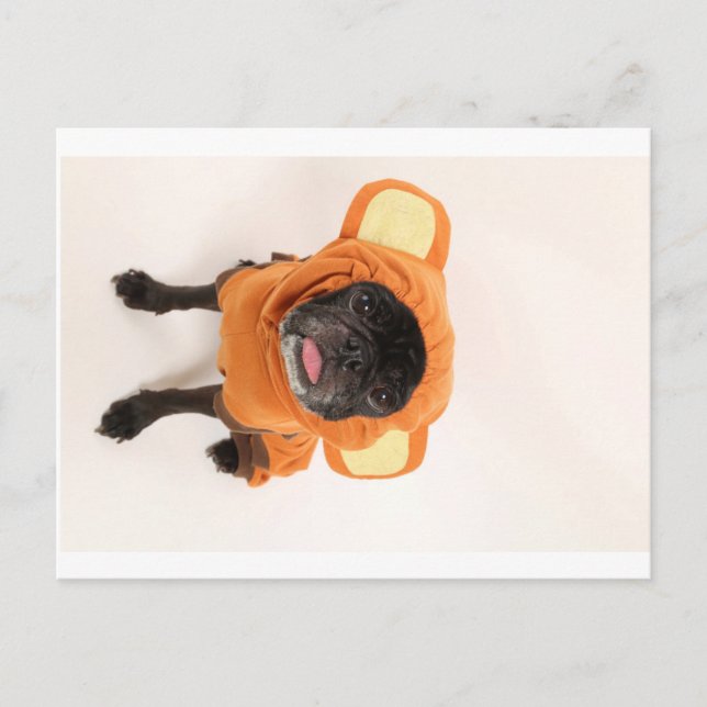 pug in monkey costume postcard (Front)